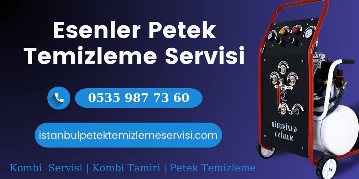 Esenler Petek Temizleme Servisi