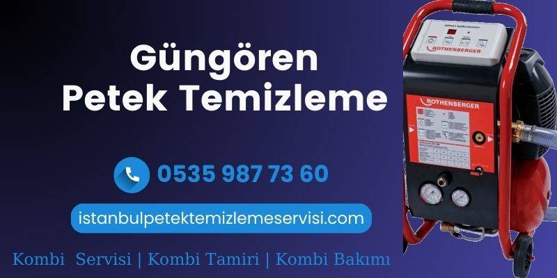 Güngören Petek Temizleme Servisi